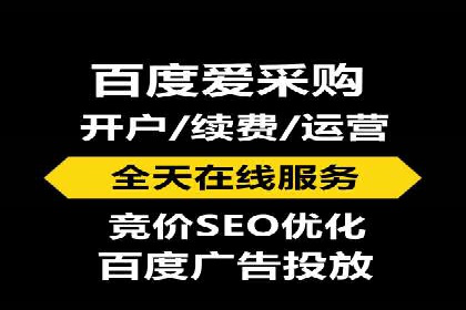 SEM代理助力品牌：案例解析与优化策略